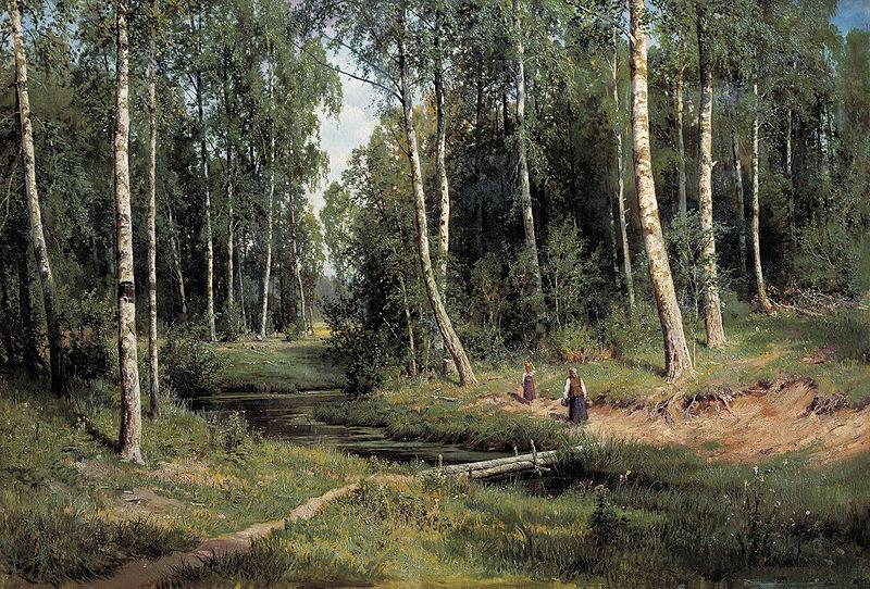 Ivan Shishkin Bach im Birkenwald oil painting image